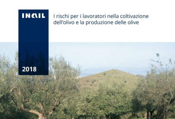I rischi per i lavoratori nella coltivazione dell’olivo e la produzione delle olive