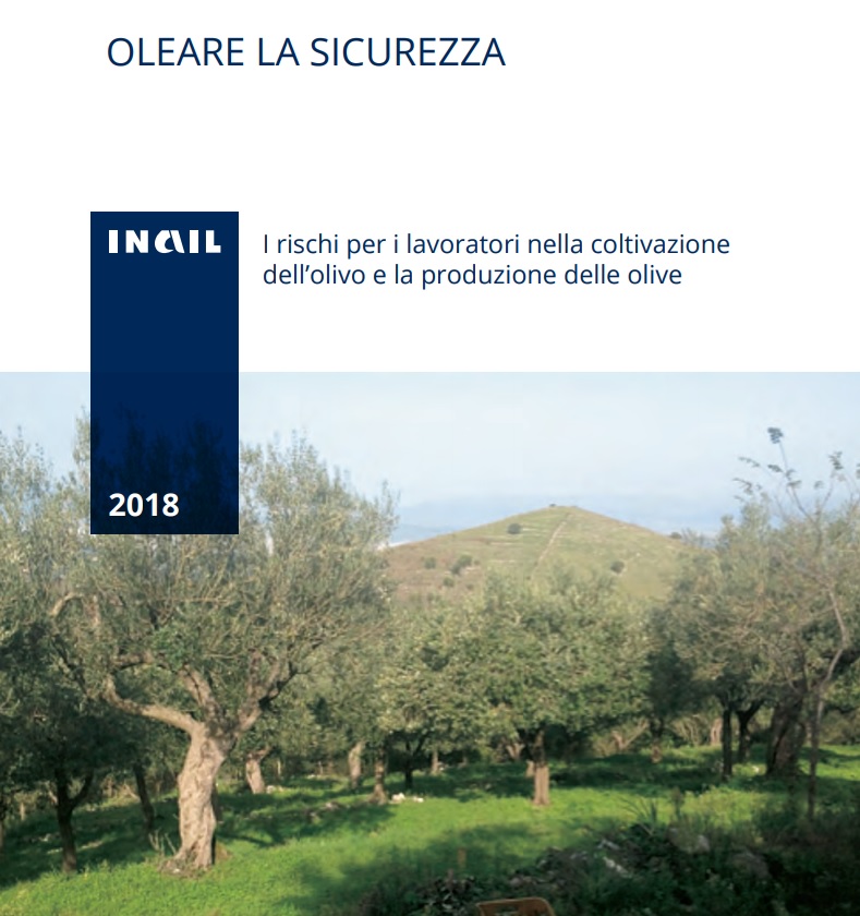 I rischi per i lavoratori nella coltivazione dell’olivo e la produzione delle olive